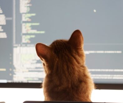 Kodowanie dla dzieci – klucz do rozwoju w przyszłości