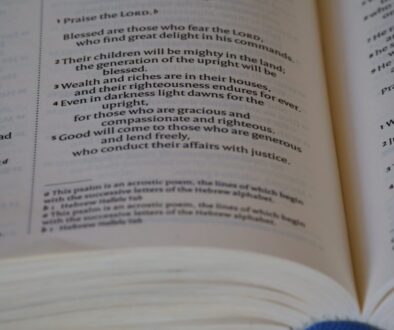 Podstawa programowa w informatyce — co czeka uczniów w szkole